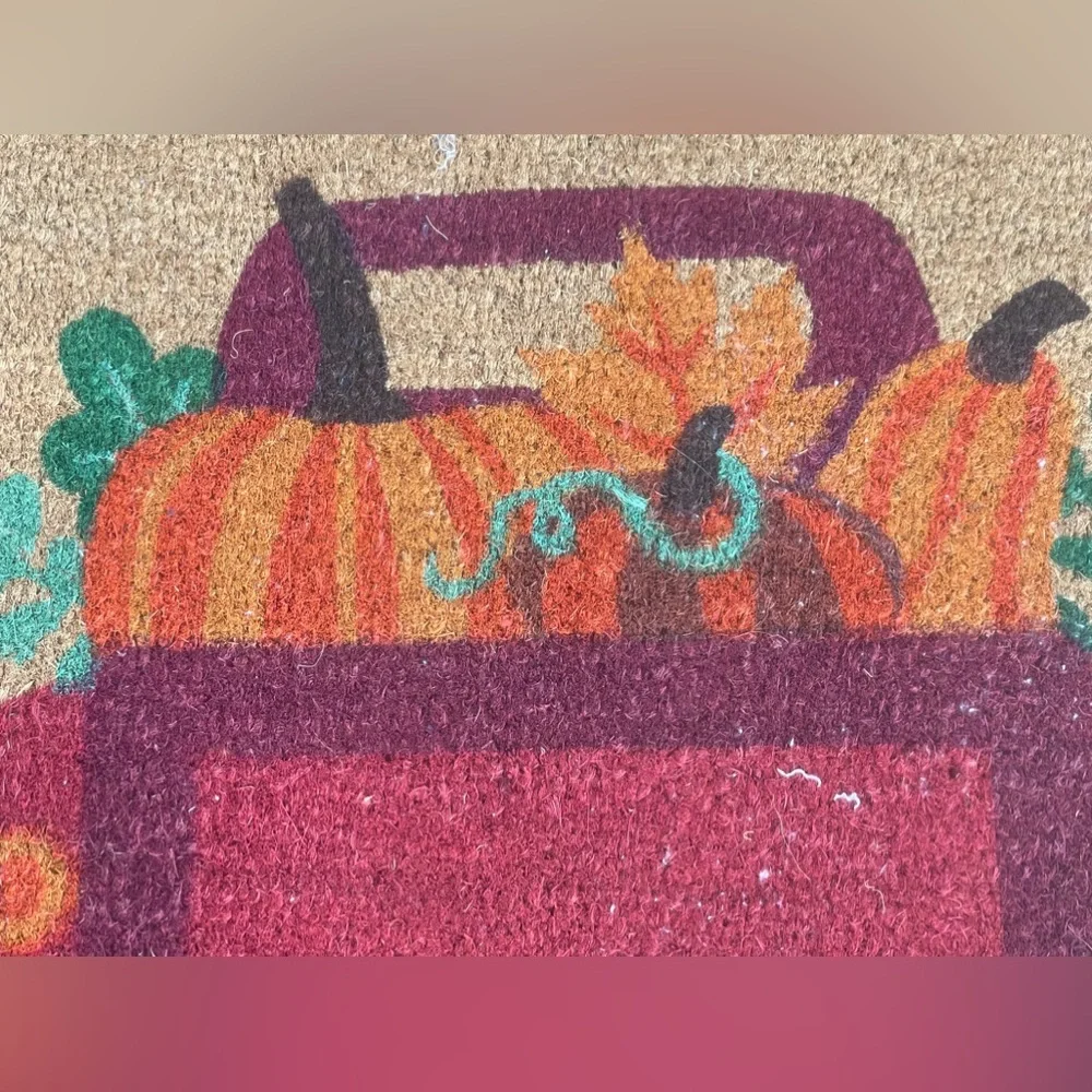 Nourison COIR new nourison